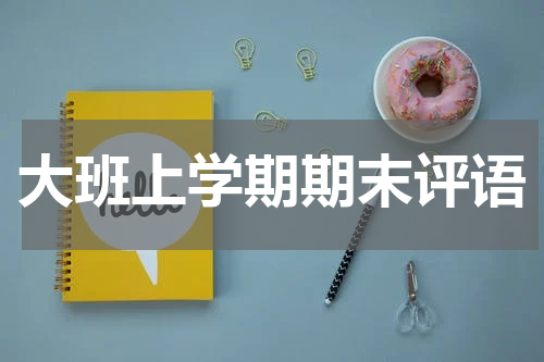 大班上学期期末评语