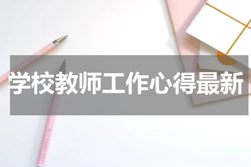 学校教师工作心得最新