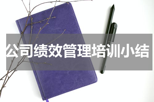 公司绩效管理培训小结