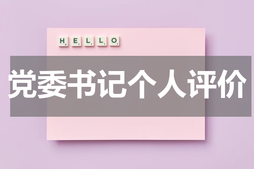 党委书记个人评价