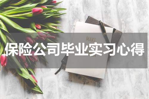 保险公司毕业实习心得