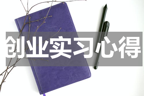 创业实习心得