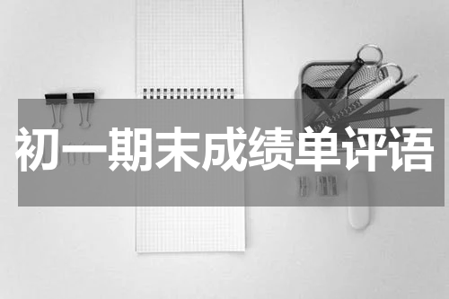 初一期末成绩单评语