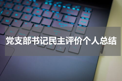 党支部书记民主评价个人总结
