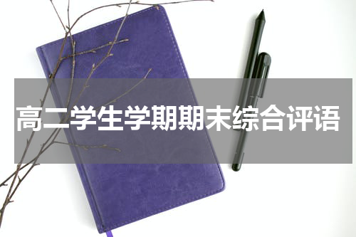 高二学生学期期末综合评语