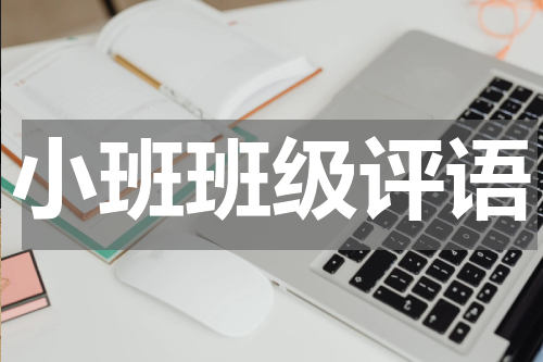 小班班级评语