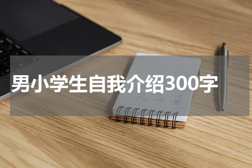 男小学生自我介绍300字