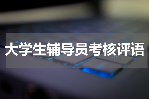 大学生辅导员考核评语