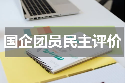 国企团员民主评价
