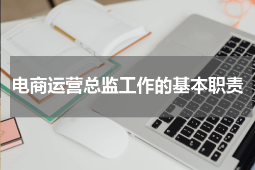 电商运营总监工作的基本职责