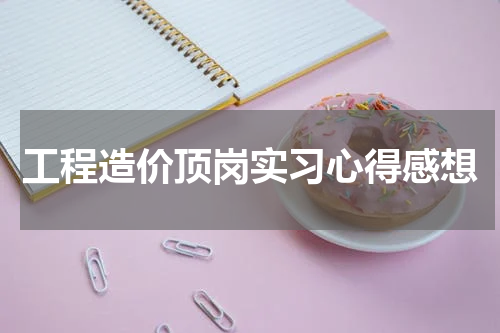 工程造价顶岗实习心得感想