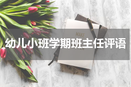 幼儿小班学期班主任评语
