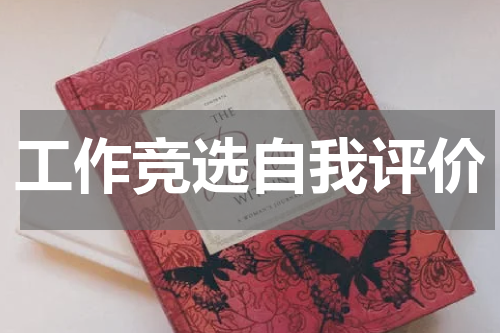 工作竞选自我评价