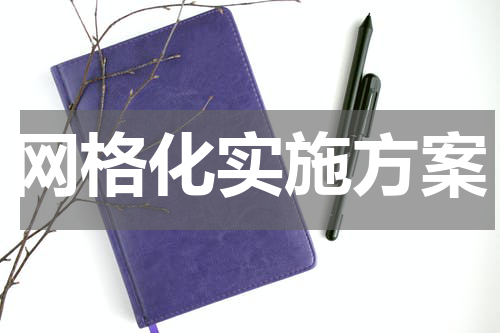 网格化实施方案
