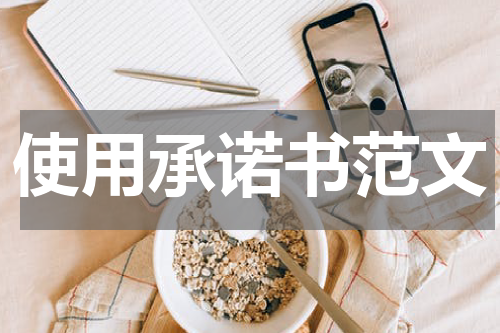 使用承诺书范文
