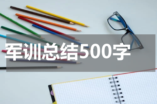 军训总结500字