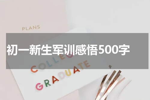初一新生军训感悟500字