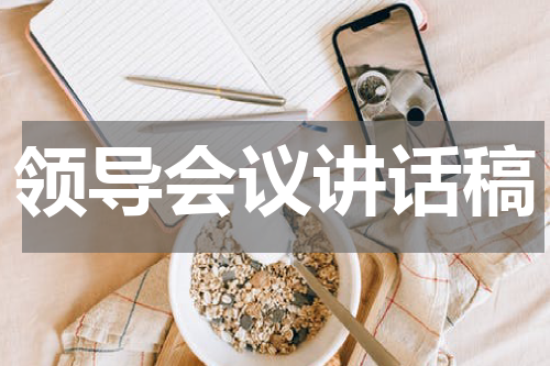 领导会议讲话稿