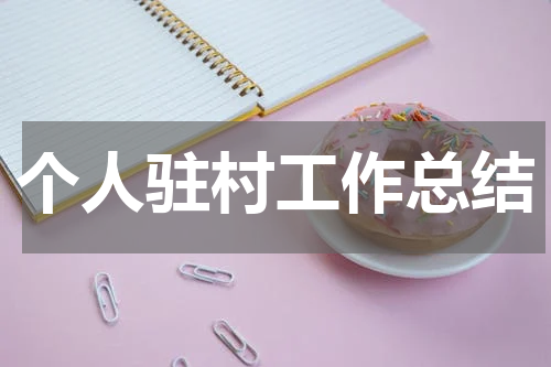 个人驻村工作总结