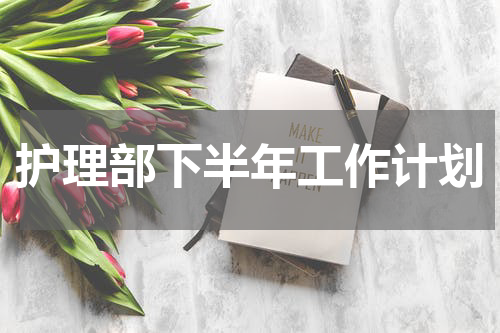 护理部下半年工作计划