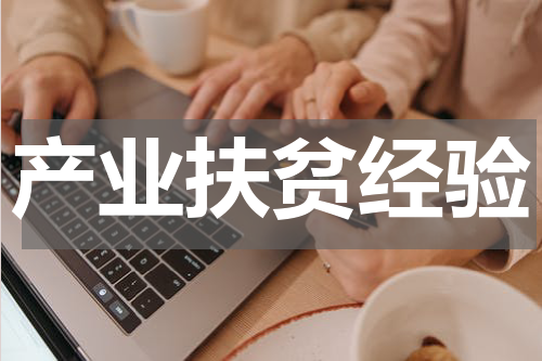 产业扶贫经验