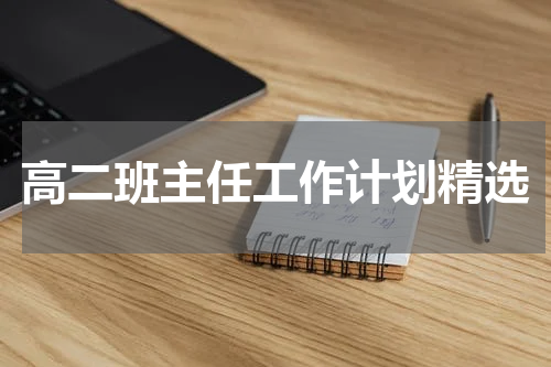 高二班主任工作计划精选