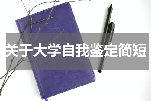 关于大学自我鉴定简短