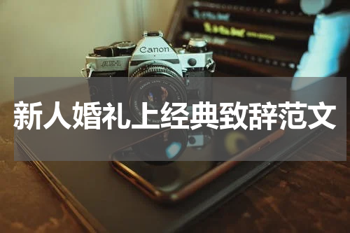 新人婚礼上经典致辞范文