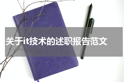 关于it技术的述职报告范文