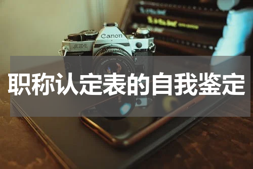 职称认定表的自我鉴定