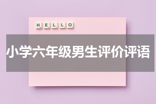 小学六年级男生评价评语