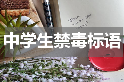 中学生禁毒标语