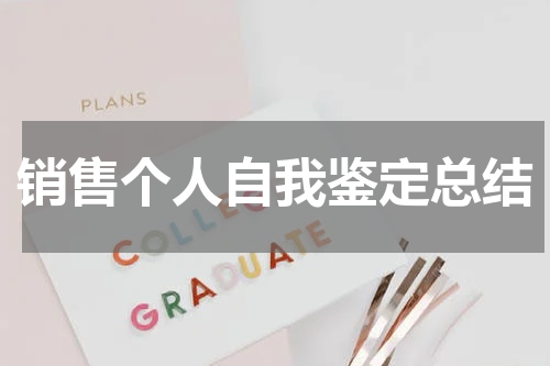 销售个人自我鉴定总结