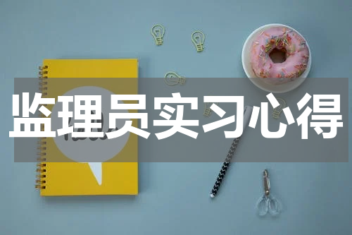 监理员实习心得
