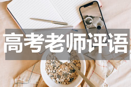 高考老师评语