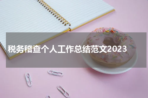 税务稽查个人工作总结范文2023