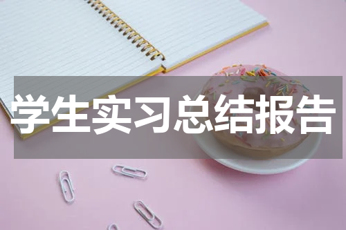 学生实习总结报告
