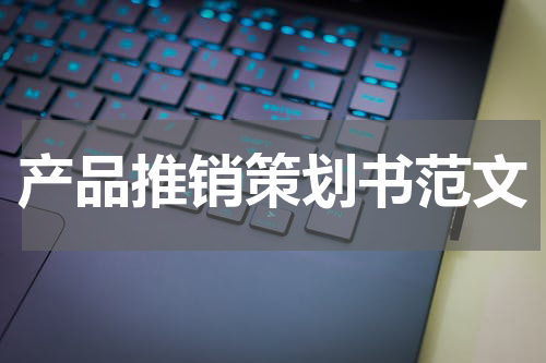 产品推销策划书范文