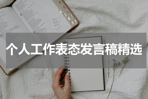 个人工作表态发言稿精选