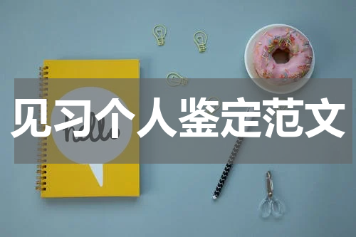 见习个人鉴定范文