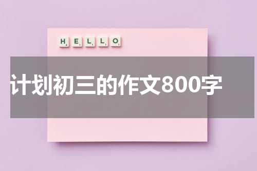 计划初三的作文800字