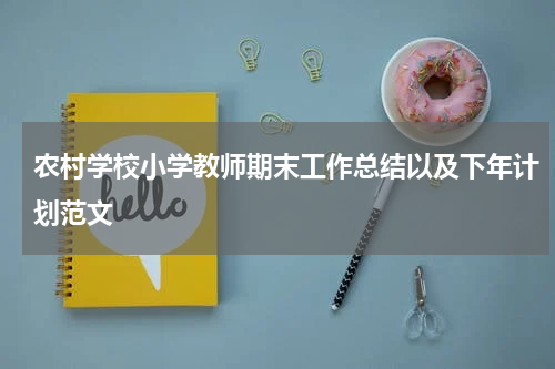 农村学校小学教师期末工作总结以及下年计划范文