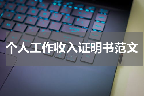 个人工作收入证明书范文
