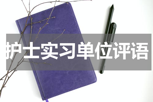 护士实习单位评语