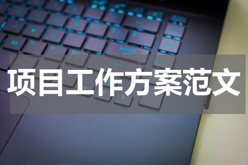 项目工作方案范文