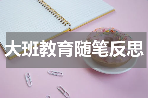 大班教育随笔反思