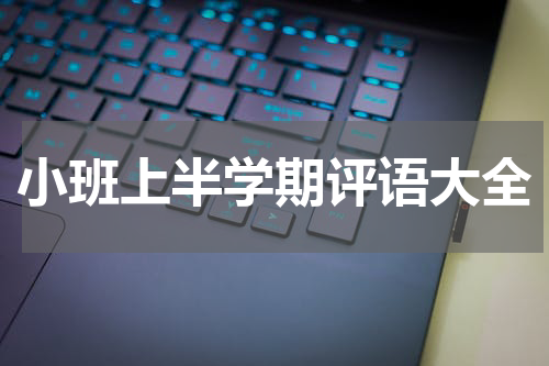 小班上半学期评语大全