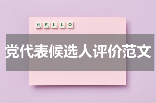 党代表候选人评价范文