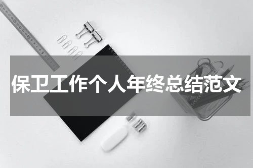 保卫工作个人年终总结范文
