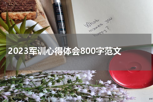2023军训心得体会800字范文